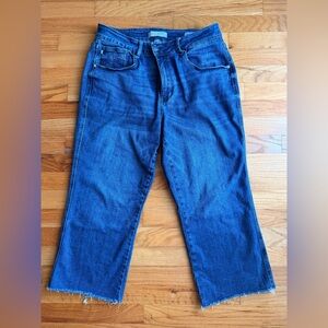 Judy Blue Blue Ankle Cropped Jeans